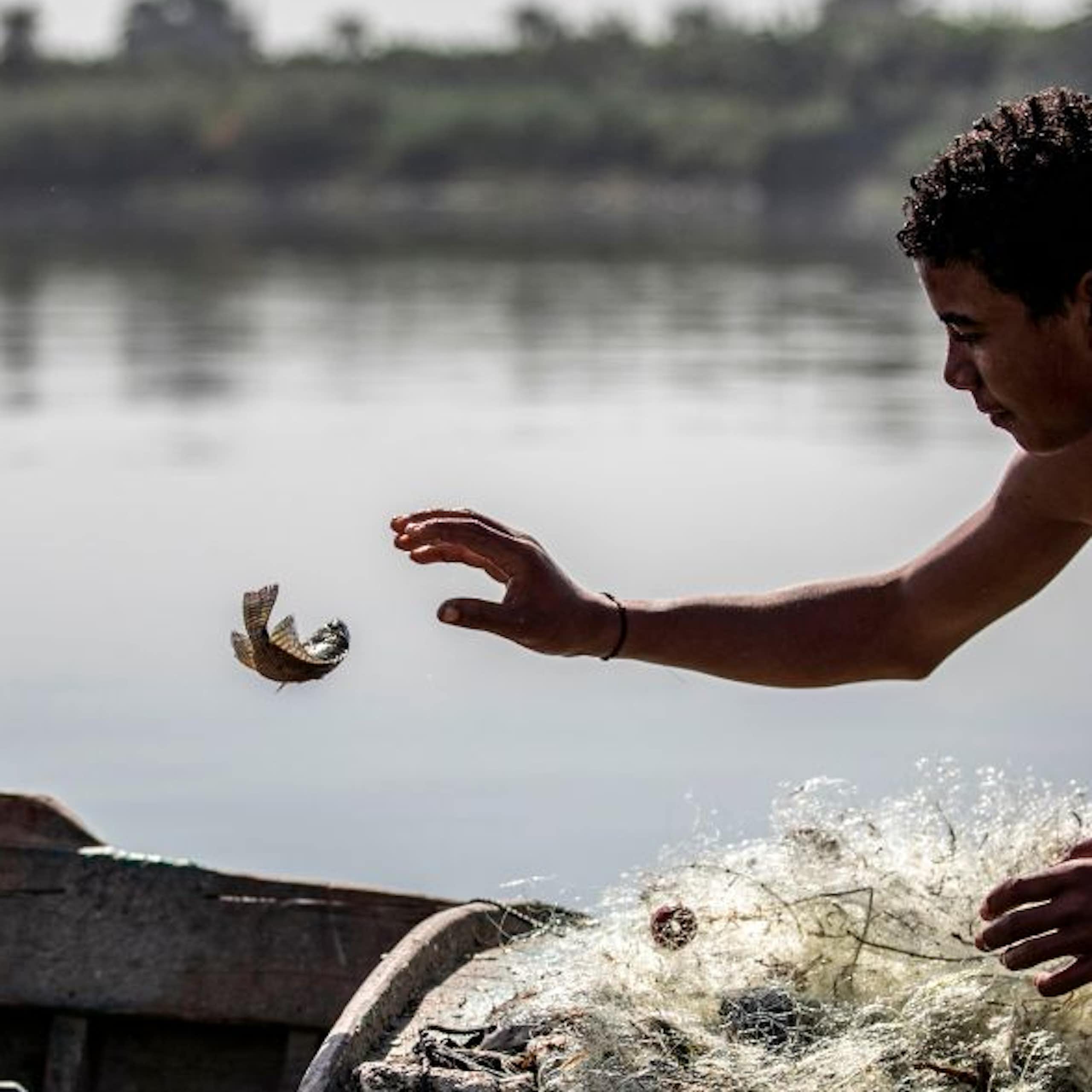 A young man, who is shirtless and wearing shorts, reaches for a fish that's flopping, seemingly halfway in the air, above his net.