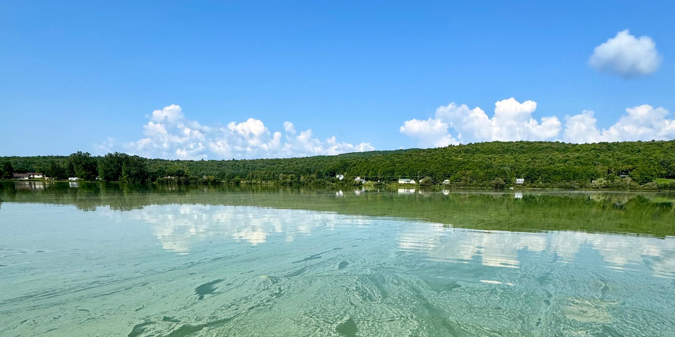 cyanobactéries dans un lac