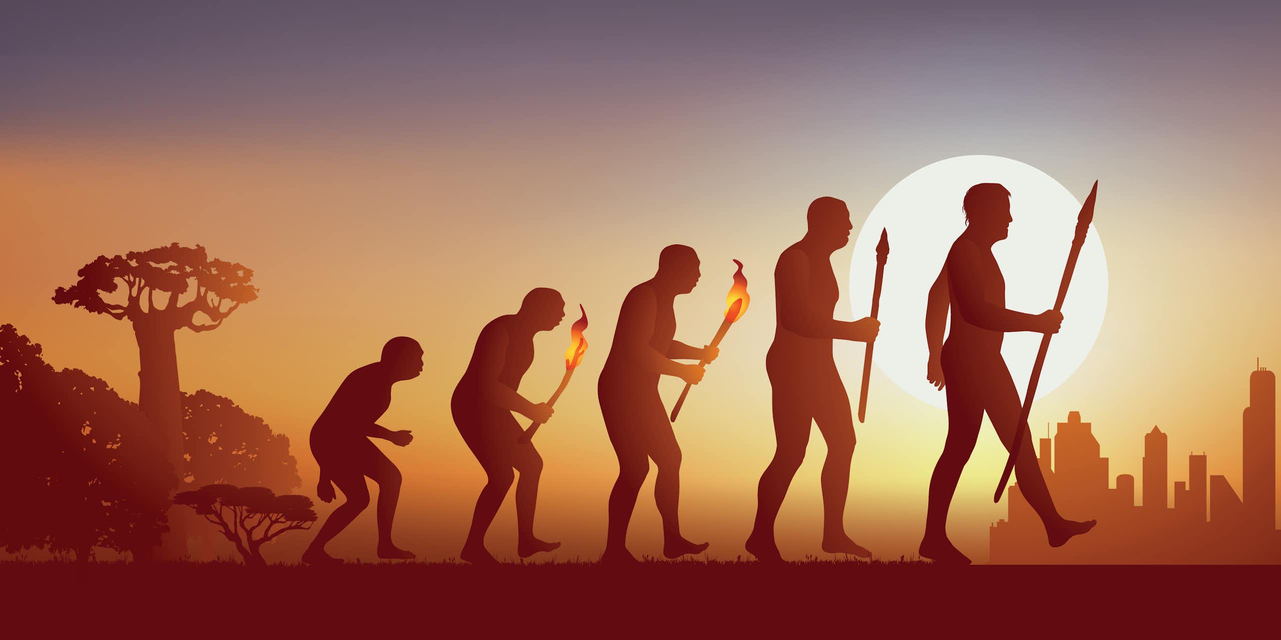 Human evolution from Africa to modern cities