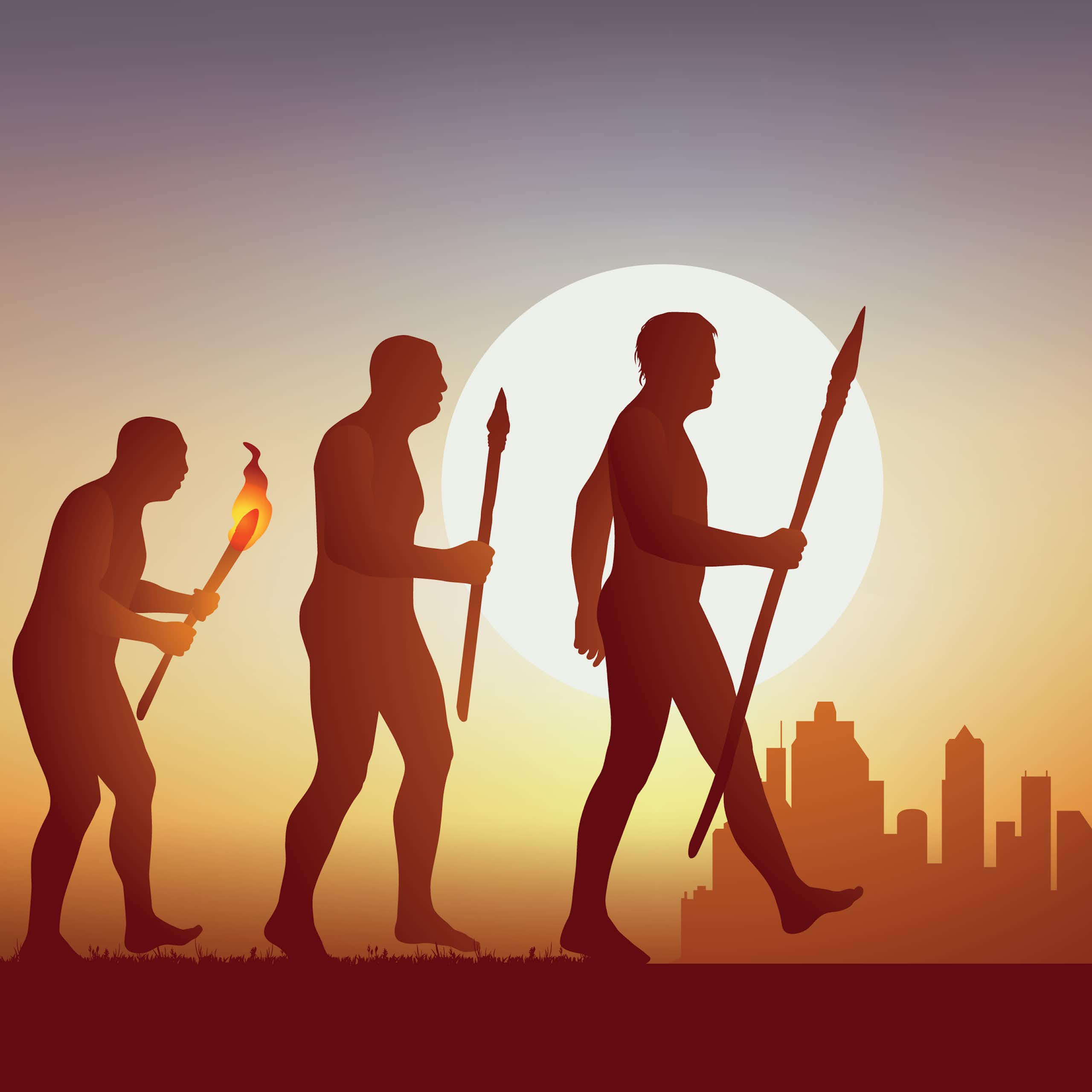 Human evolution from Africa to modern cities