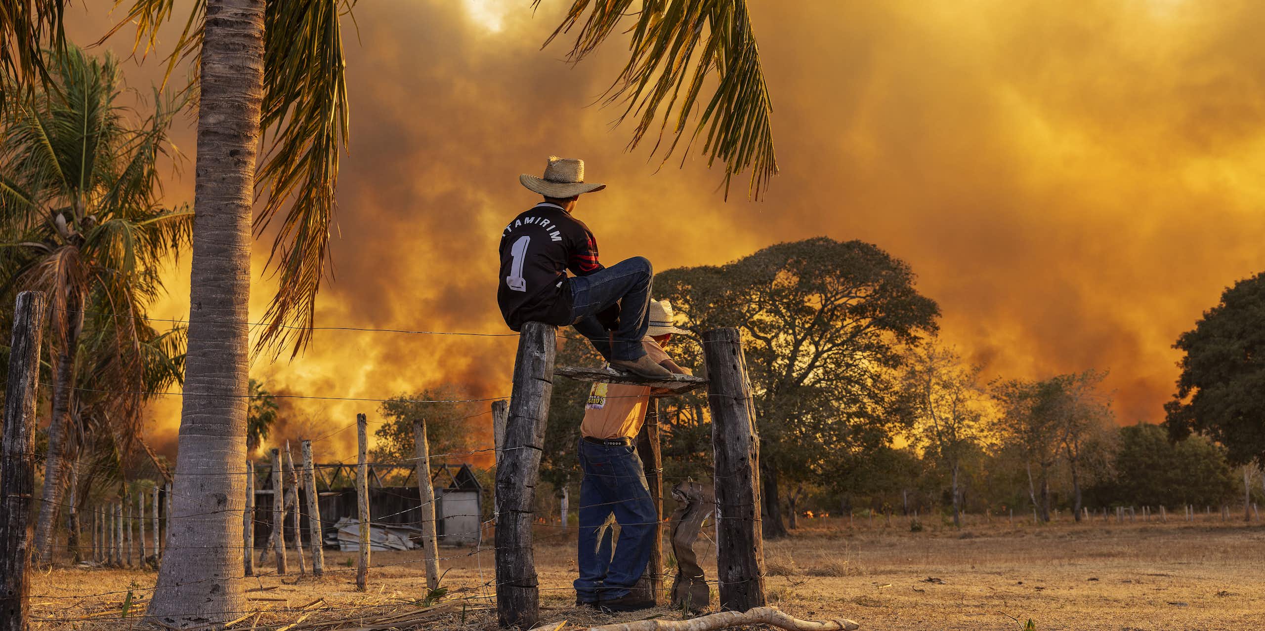 Pantanal em chamas: os vários fatores que convergem para uma temporada recorde de incêndios na região