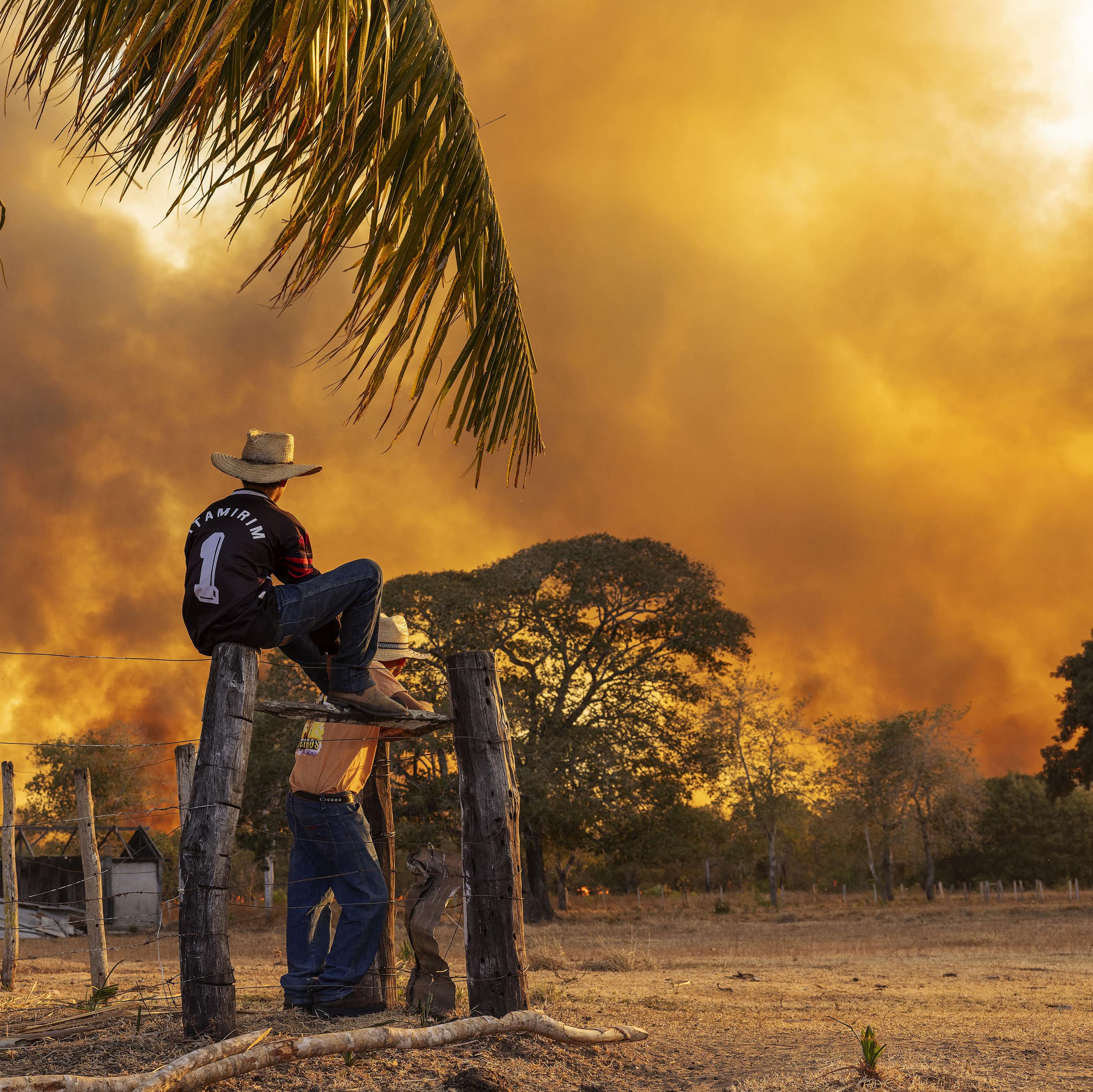 Pantanal em chamas: os vários fatores que convergem para uma temporada recorde de incêndios na região