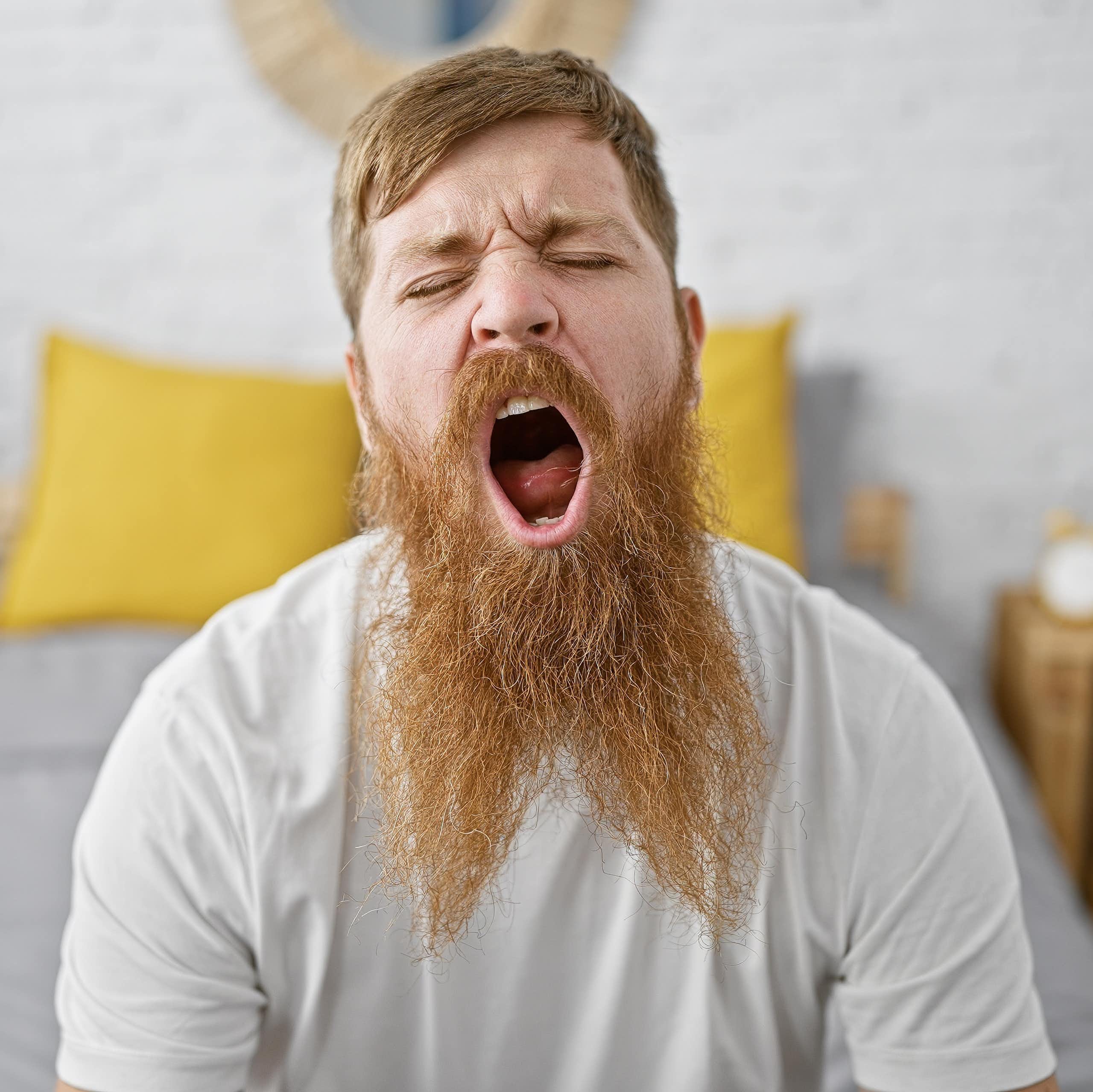 La ciencia del bostezo: no me aburres, estoy enfriando el cerebro