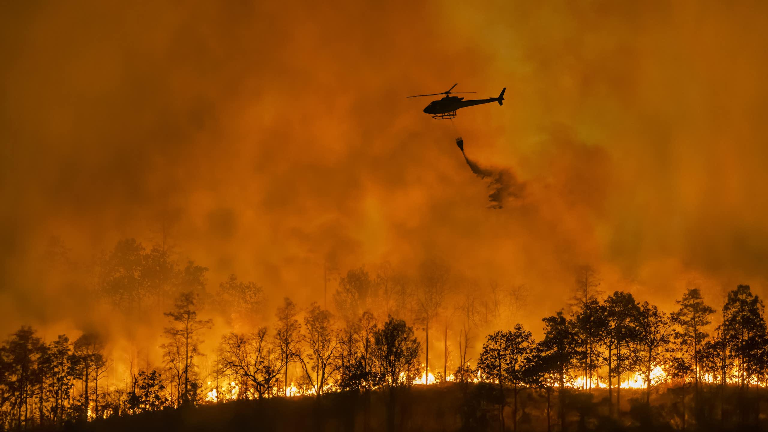 Eco-anxiety Q&amp;A: how the IPCC’s vice-chair keeps her head cool on a warming planet
