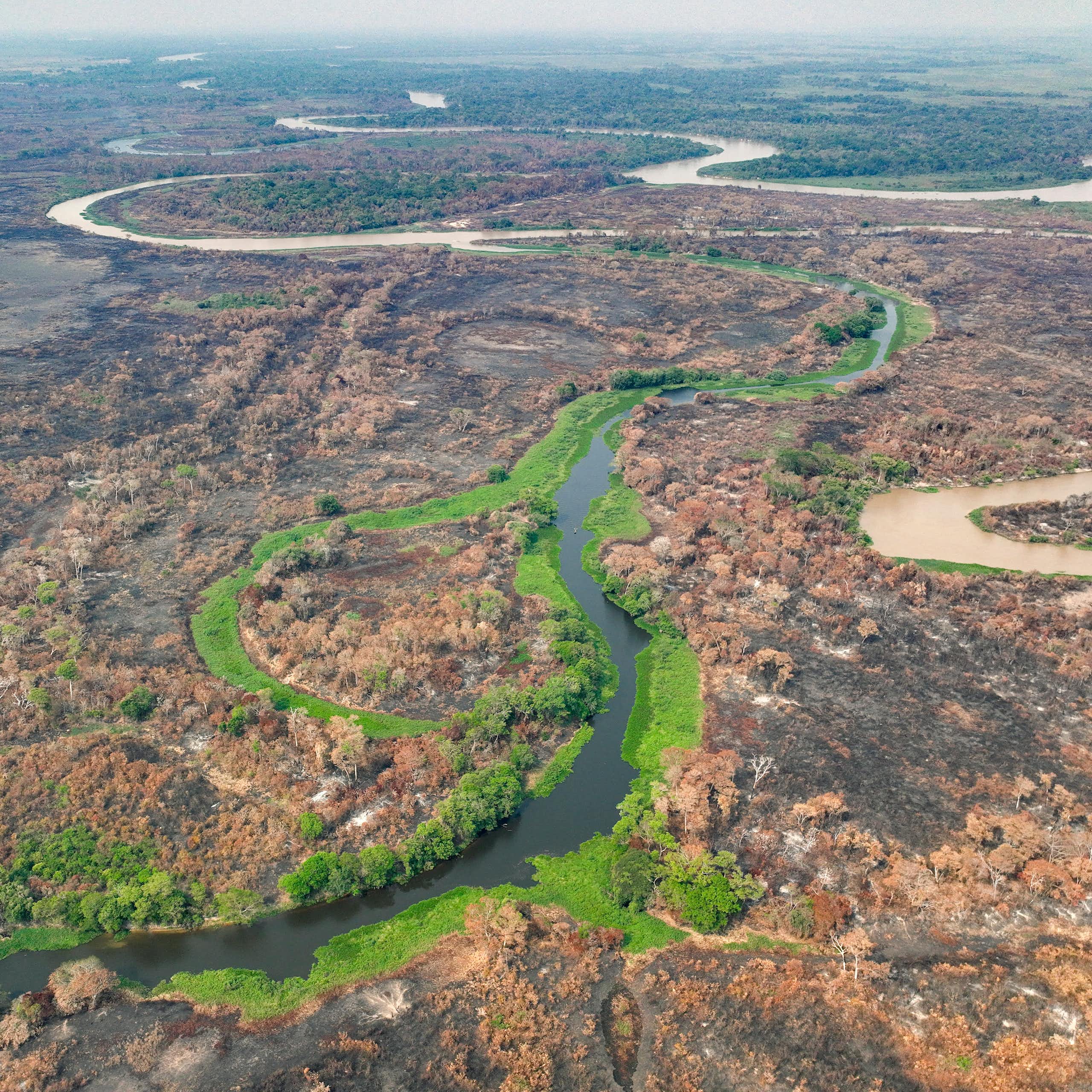 Perda da cobertura natural deixa Brasil mais vulnerável à crise climática