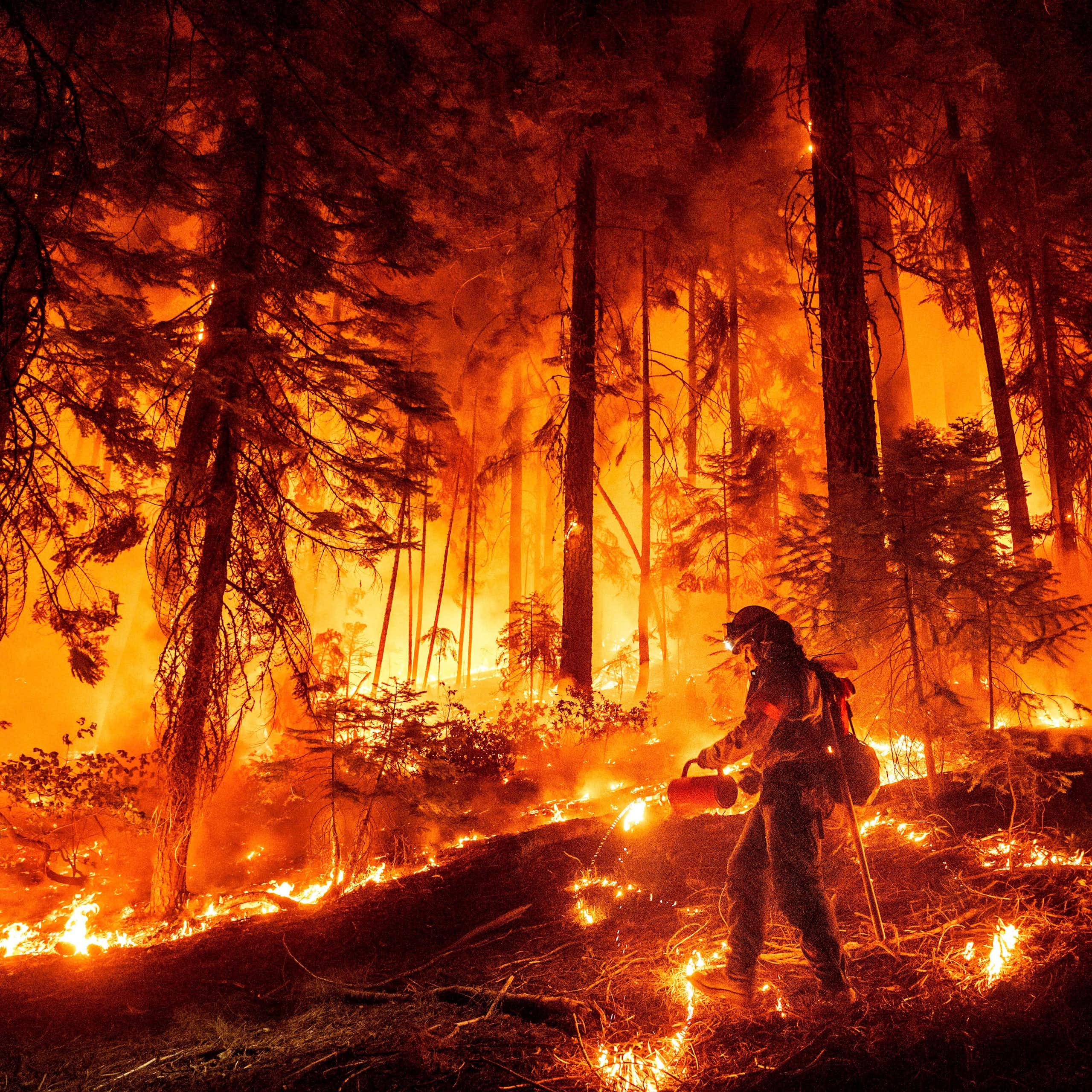 Bombeiro combatendo um incêndio florestal na Califórnia