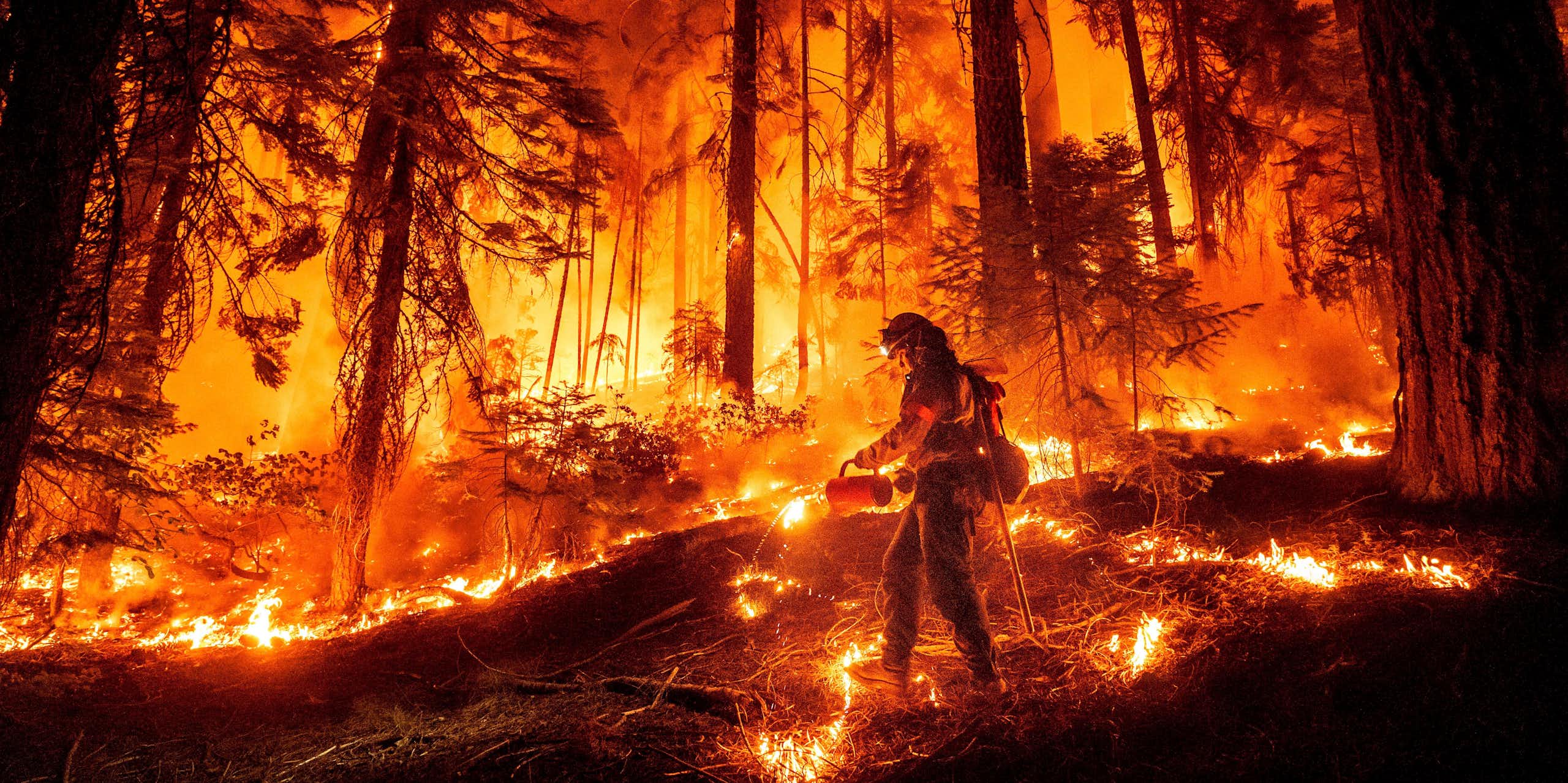 Bombeiro combatendo um incêndio florestal na Califórnia