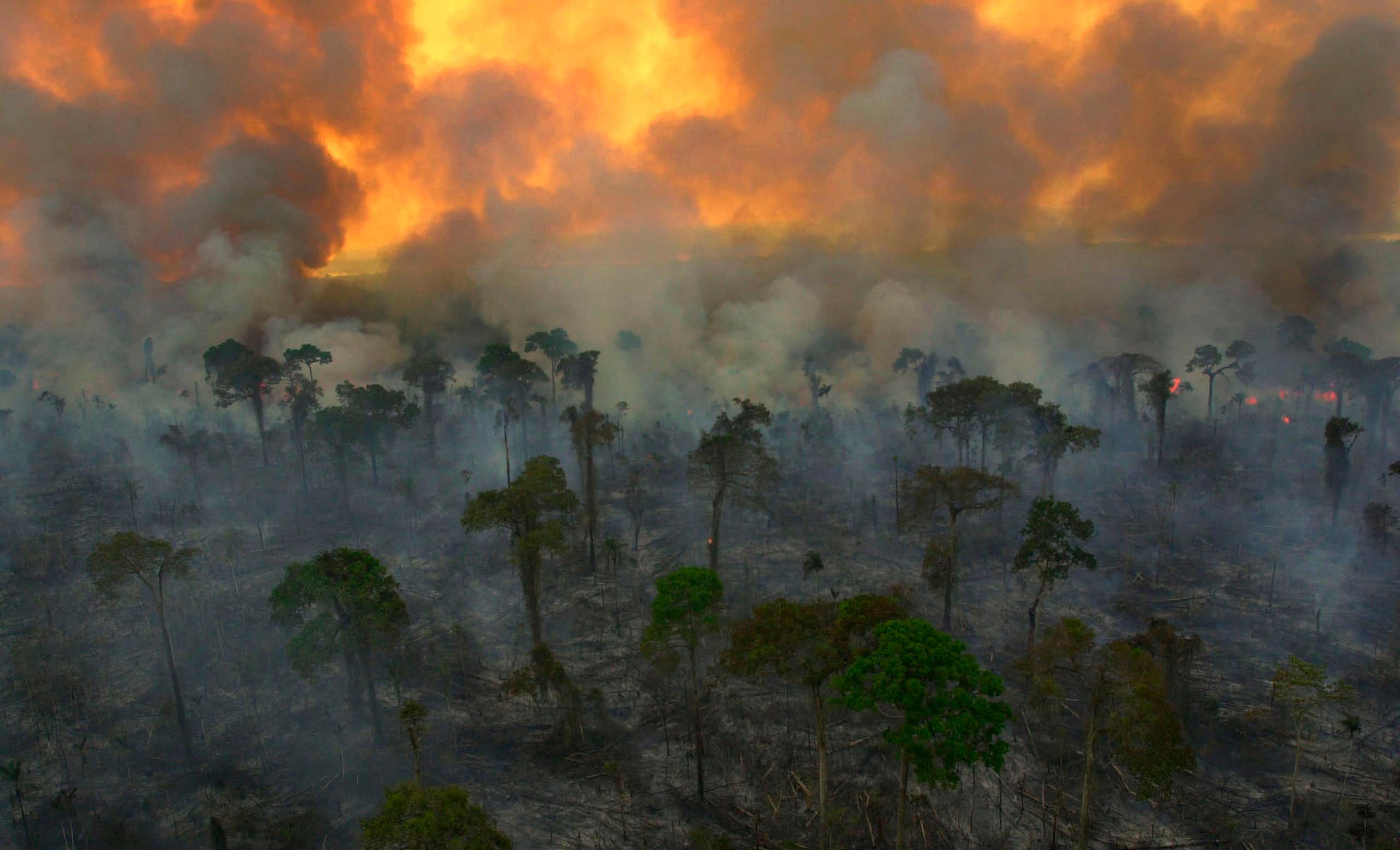 Rota Brasileira do Fogo: como estradas e ferrovias em áreas florestais podem agravar a crise climática