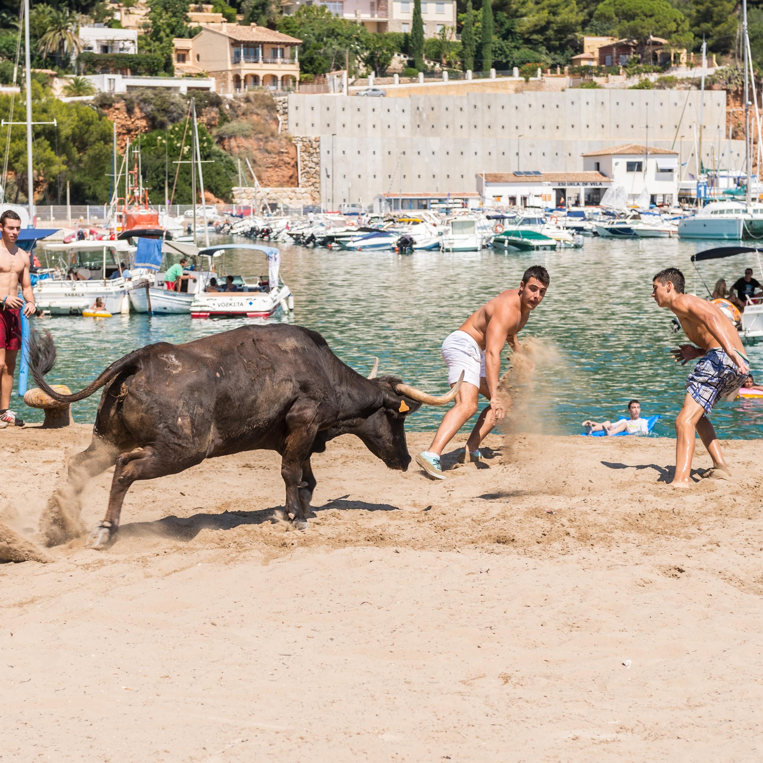 Una vaquilla persiguiendo a dos chicos durante la festividad Nuestra Señora de Loreto el 2 de septiembre de 2013 en Jávea, España.
