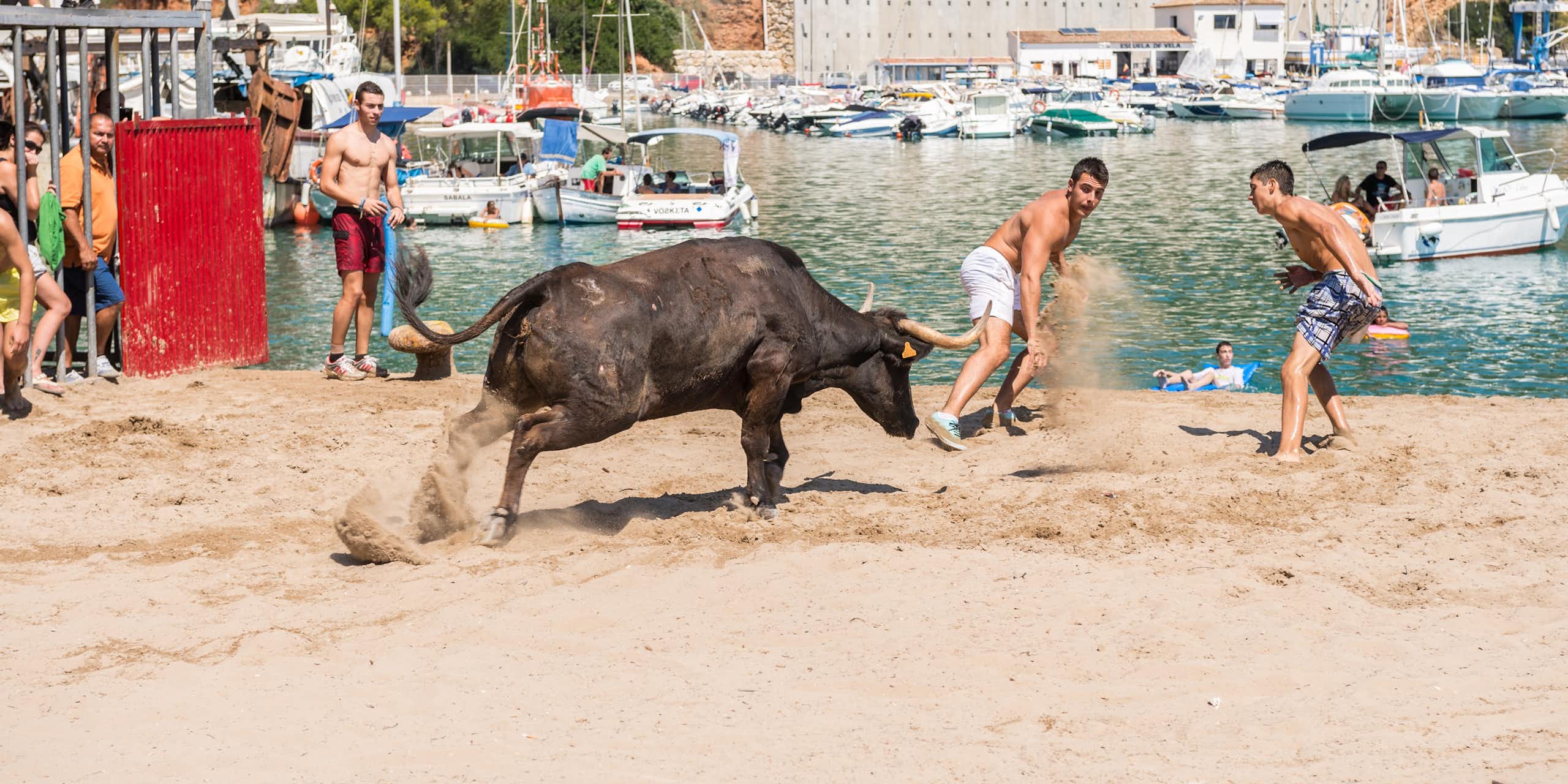 Una vaquilla persiguiendo a dos chicos durante la festividad Nuestra Señora de Loreto el 2 de septiembre de 2013 en Jávea, España.
