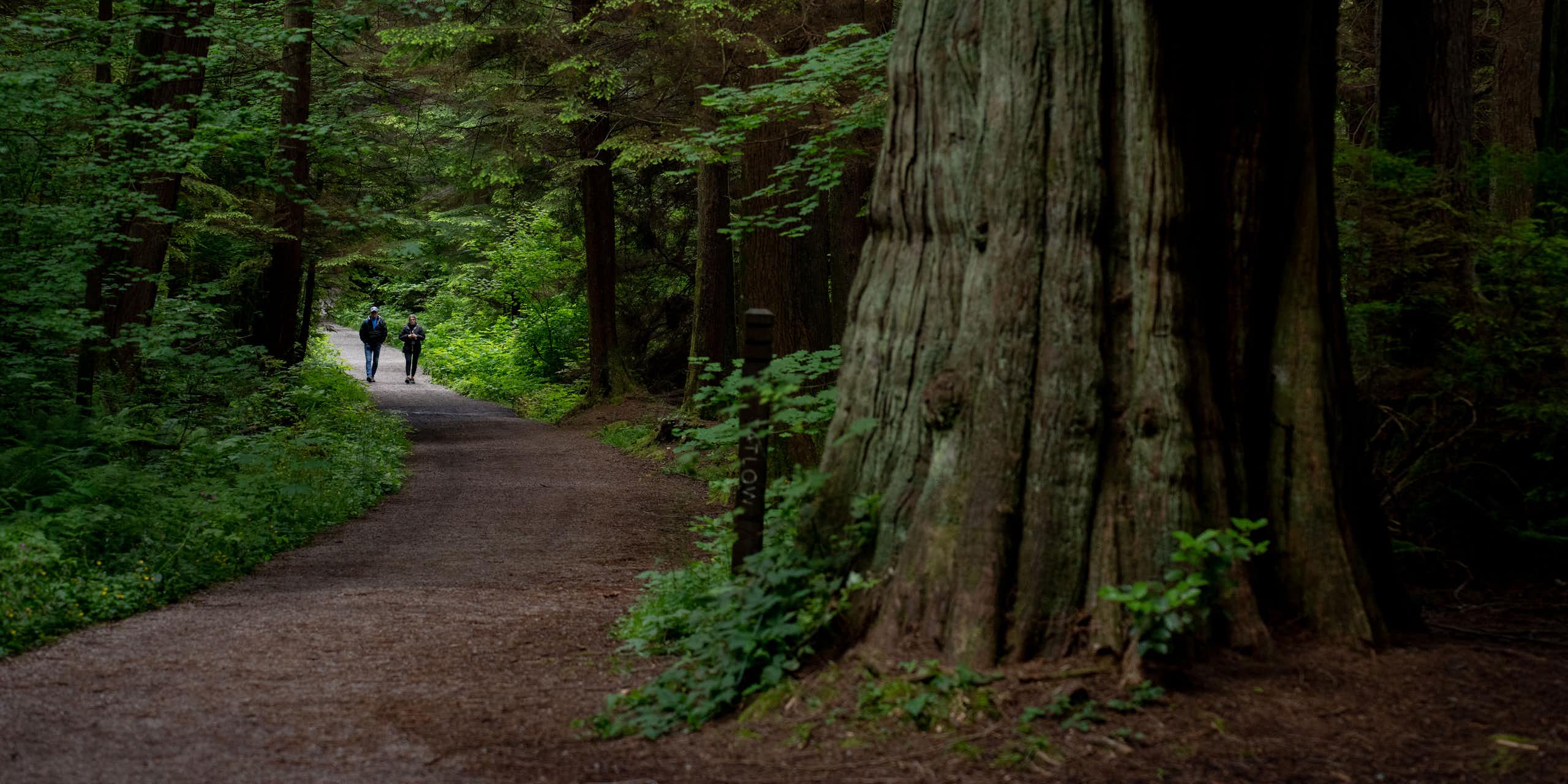 A couple walk thorugh a wooded path.