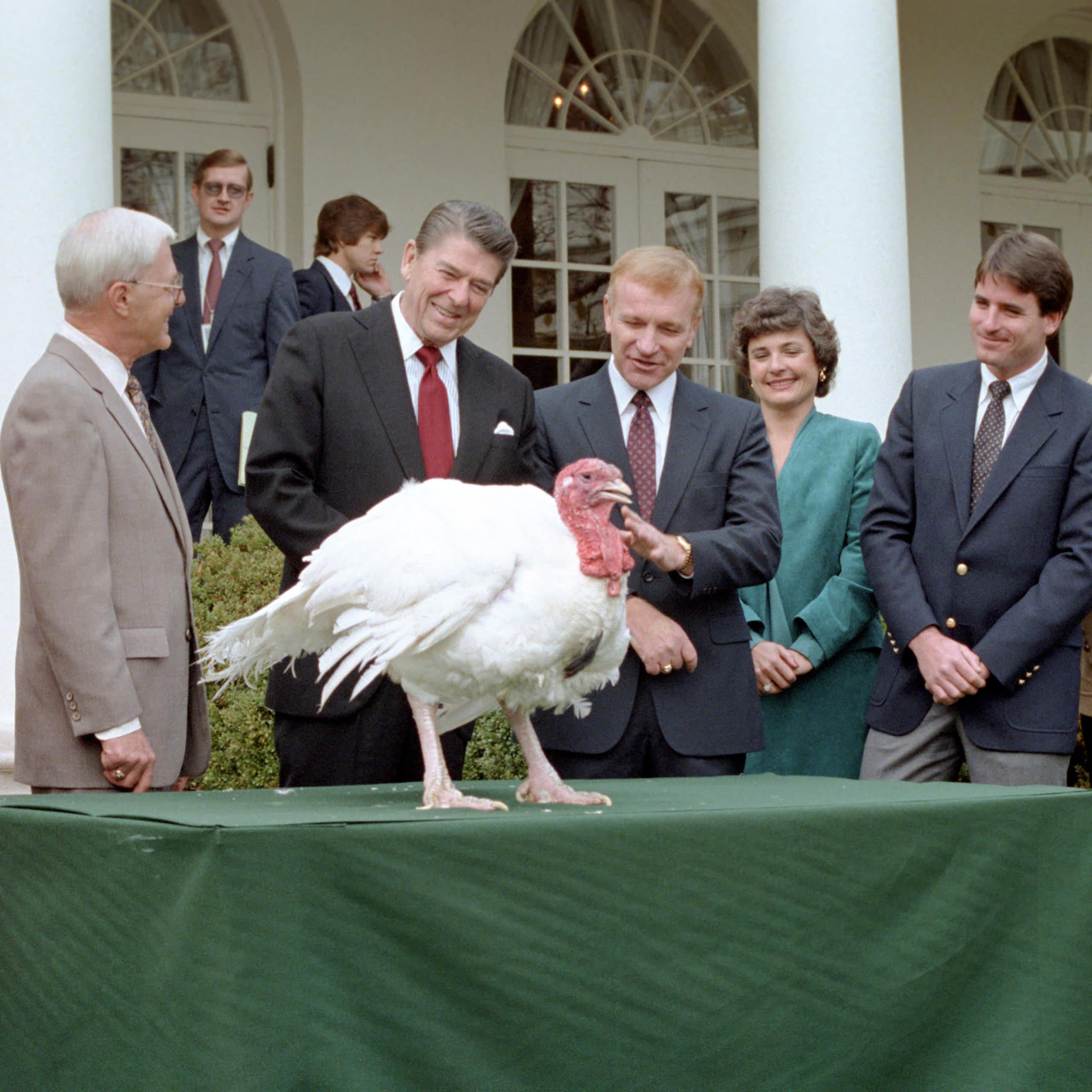 Ronald Reagan mira un pavo sobre una mesa rodeado de otras personas.