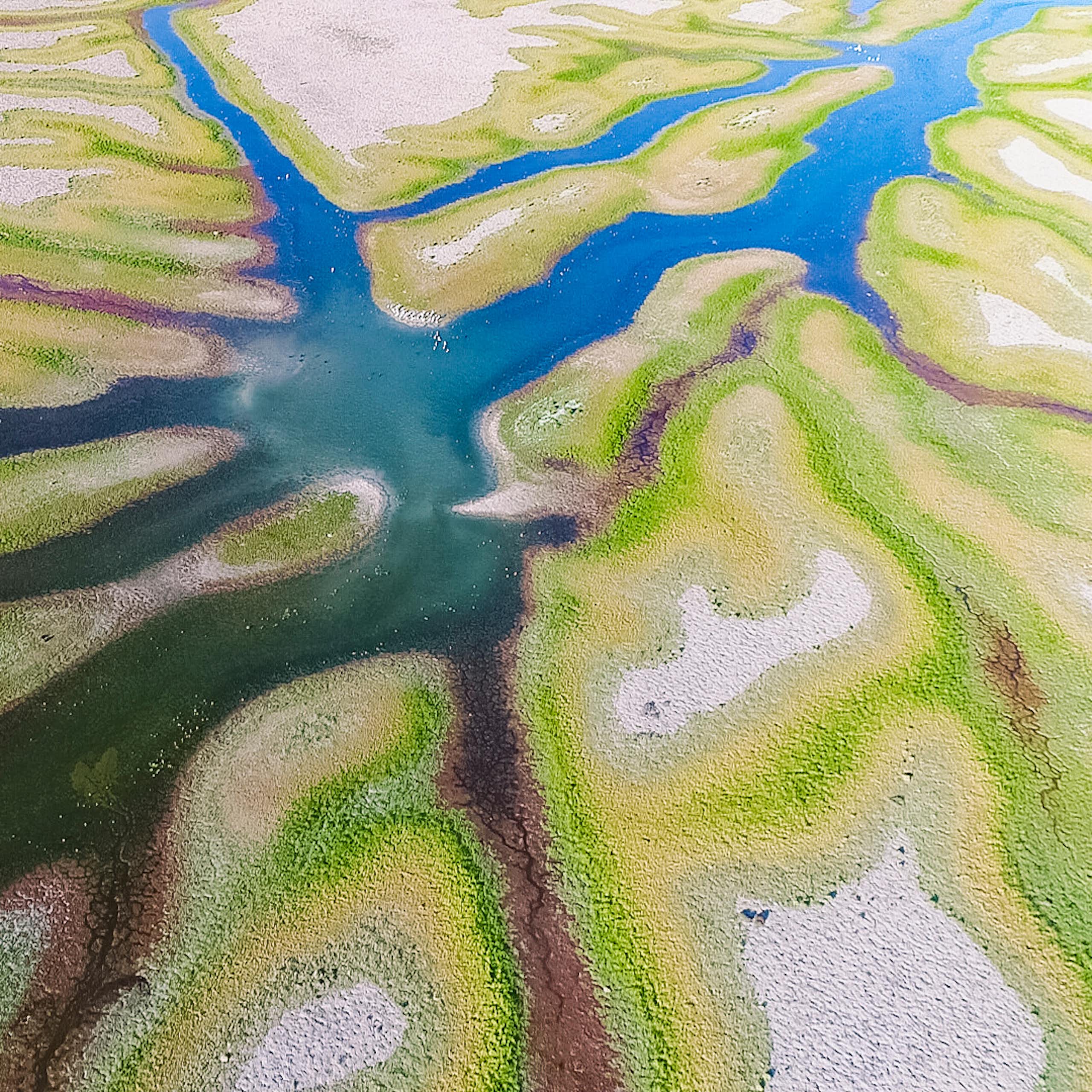 Aerial image of the the largest wetland on the Murrumbidgee River