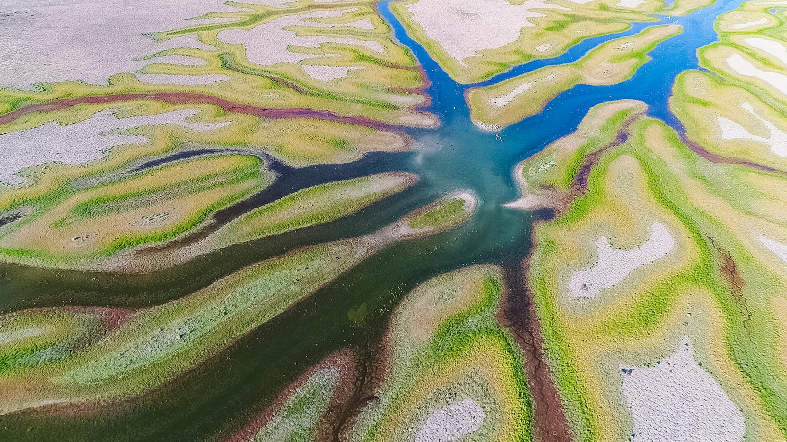 Aerial image of the the largest wetland on the Murrumbidgee River