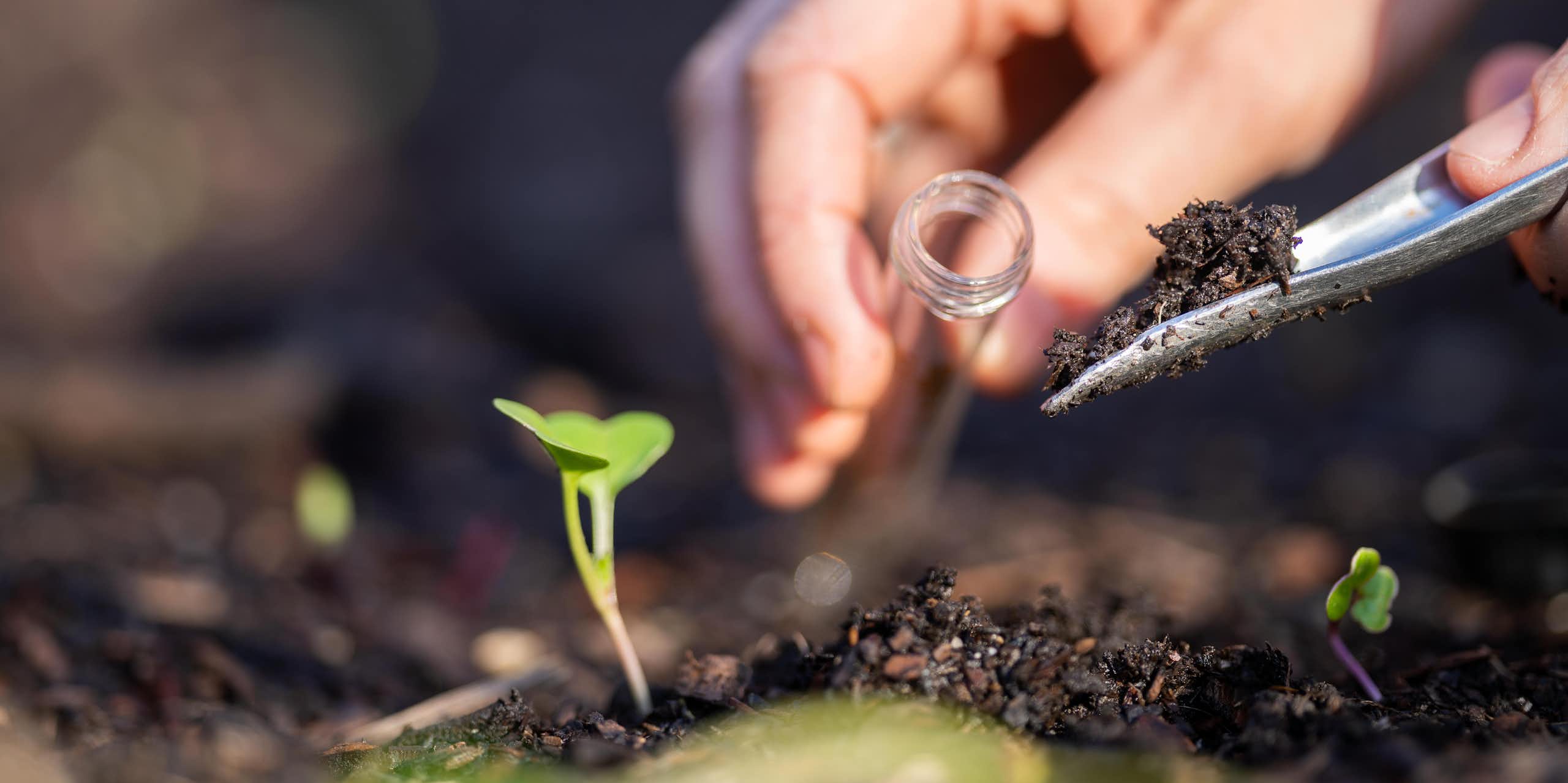 ¿Existen probióticos para plantas?