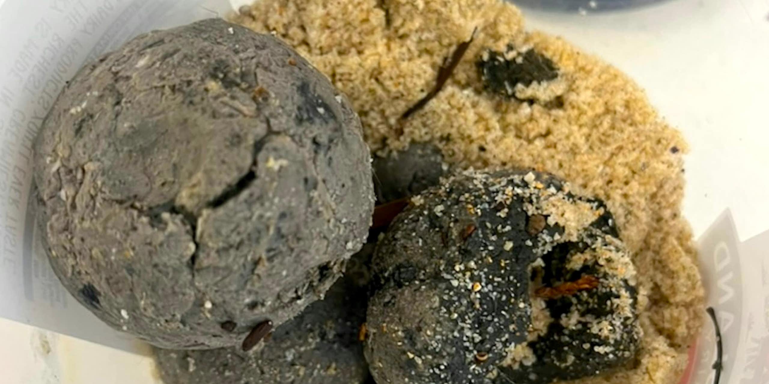 Black balls on Sydney beaches are likely ‘fatbergs’ showing traces of human faeces, methamphetamine and PFAS: new analysis