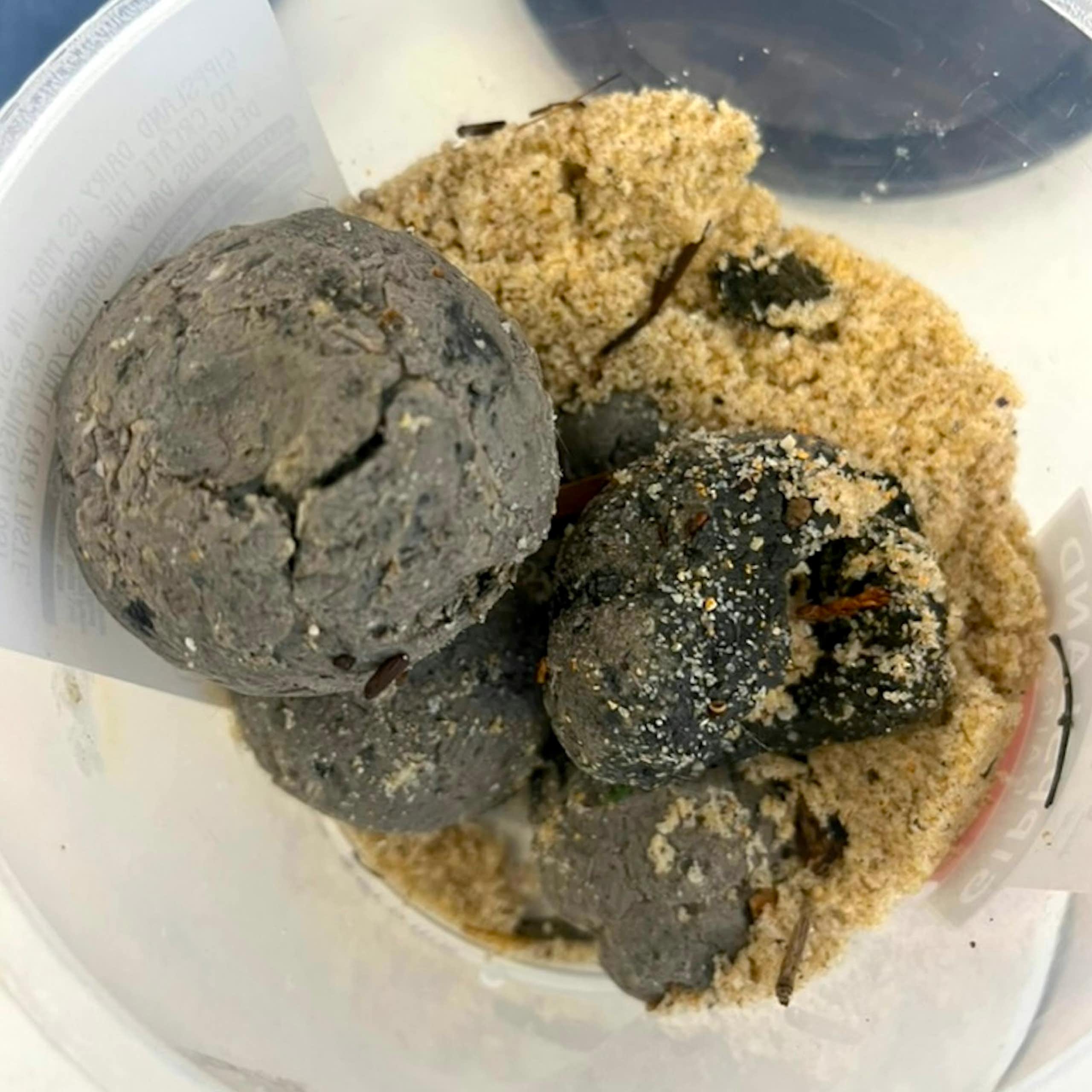 Black balls on Sydney beaches are likely ‘fatbergs’ showing traces of human faeces, methamphetamine and PFAS: new analysis