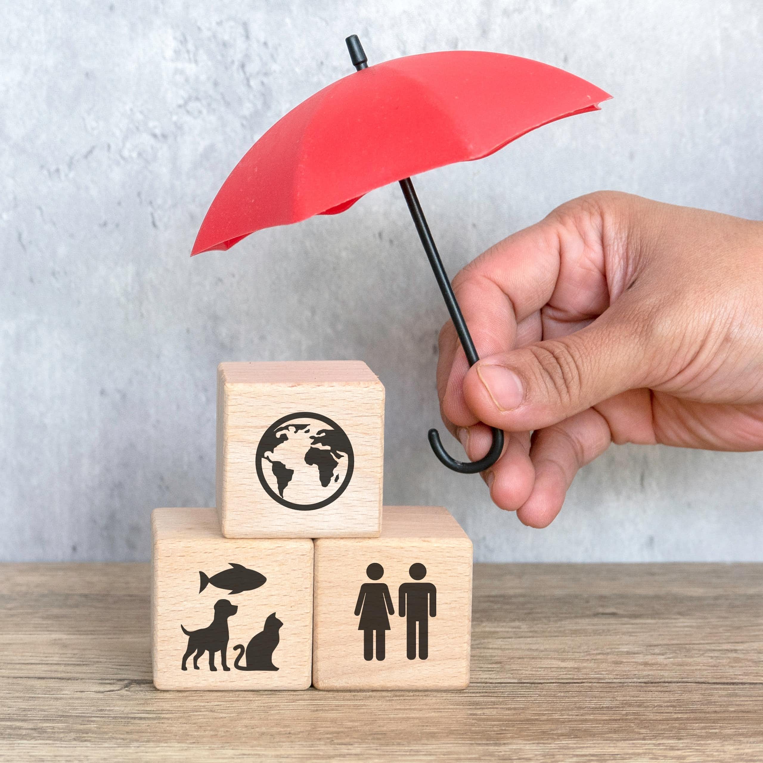 Umbrella covering building blocks