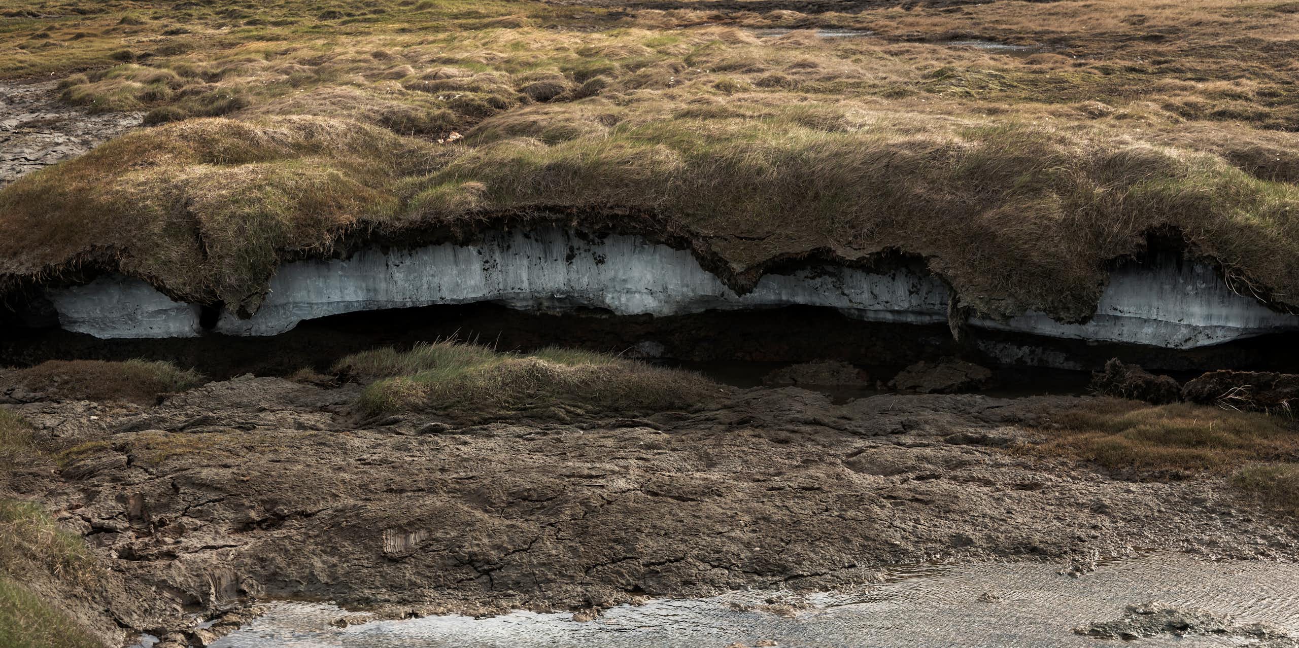 Permafrost under tundra, showing the frozen ground beneath the plants
