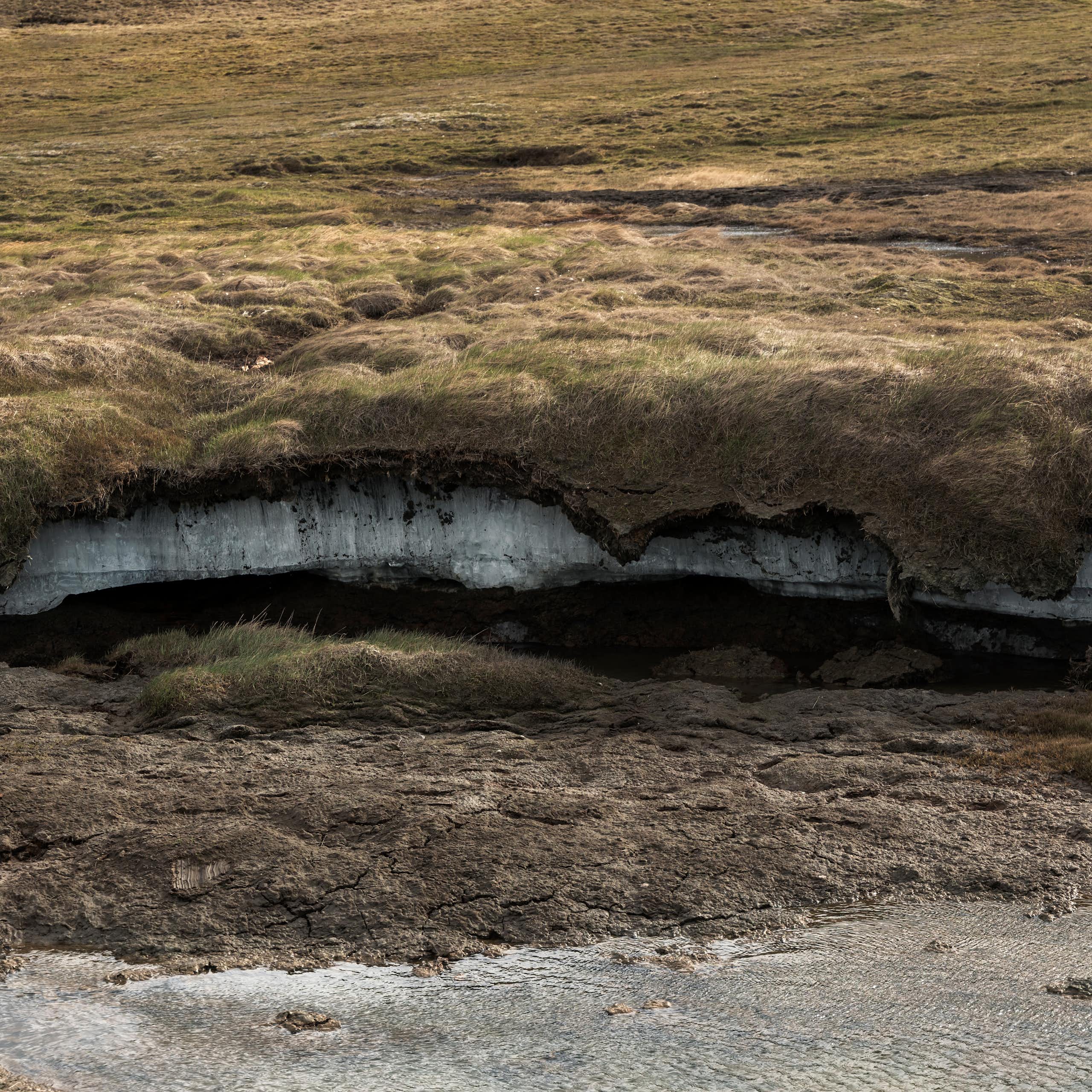 Permafrost under tundra, showing the frozen ground beneath the plants