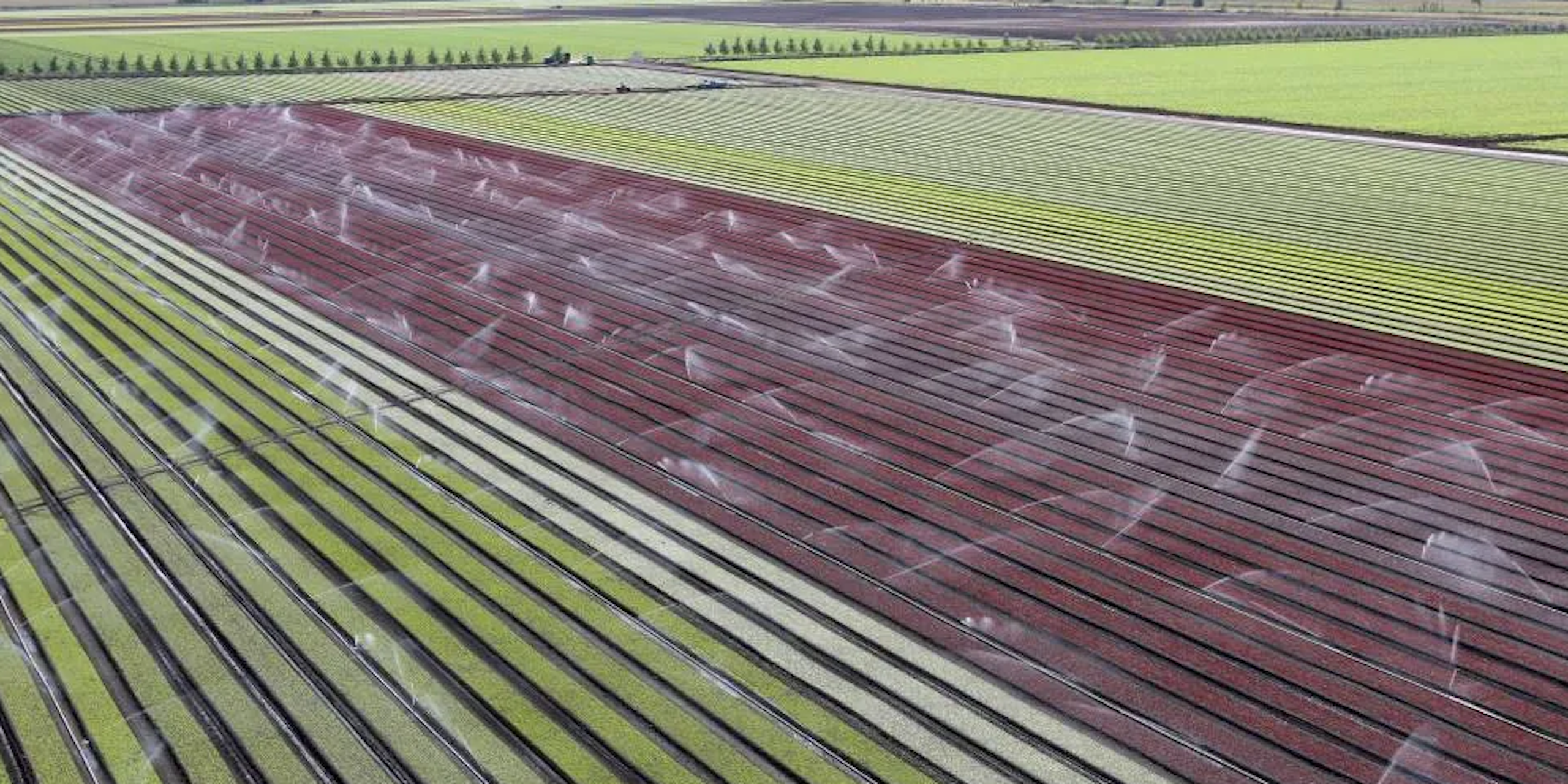 terre agricole